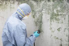 Biohazard Mold Removal in Fulton, IL